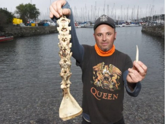 Британский рыбак обнаружил «скелет русалки» на пляже