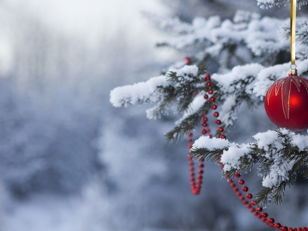 Синоптик сообщил, какой погоды ожидать на Рождество