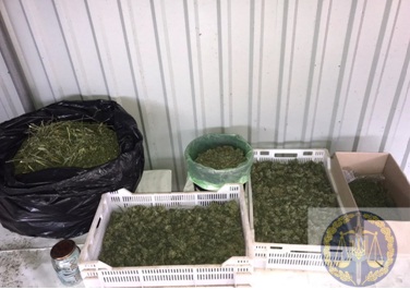 У жителя Запорожской области при обыске нашли 2,5 кило наркотиков и 80 тысяч долларов