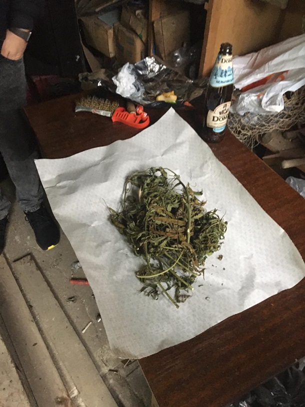  Под Одессой военный выращивал марихуану