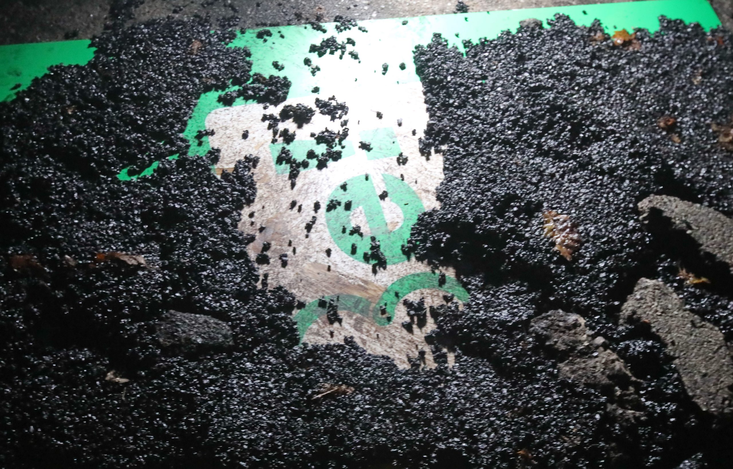 Зеленскому в Феофанию привезли шины и куски асфальта