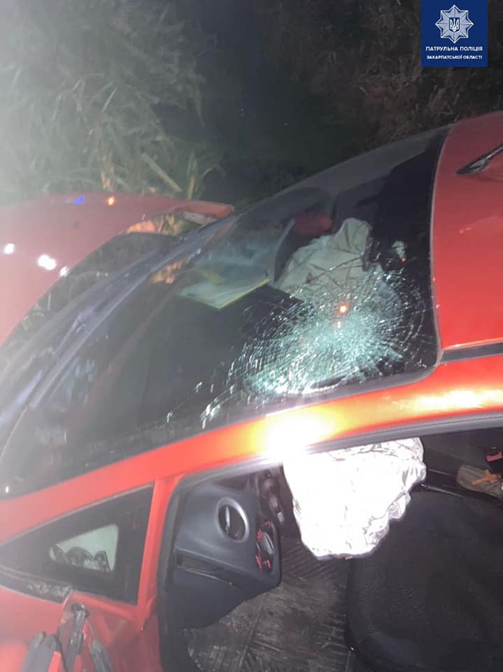 В Мукачево пьяная женщина на Ford едва не выбила головой лобовое стекло
