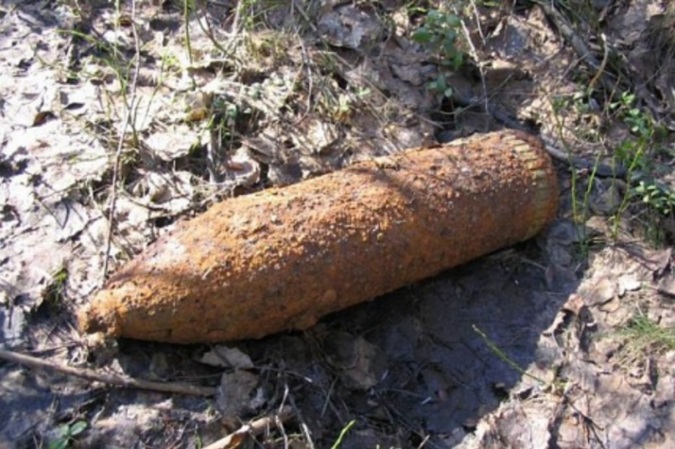 В Днепропетровской области в лесу грибник нашел боеприпас
