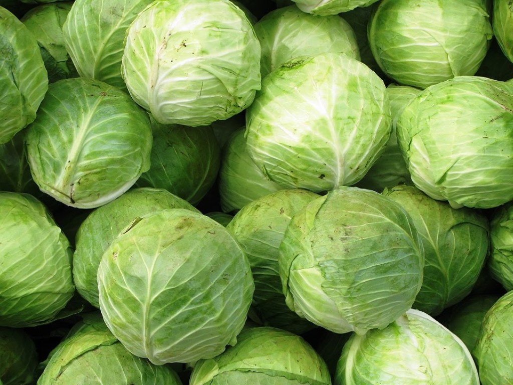 Медики назвали простой овощ для борьбы с воспалением