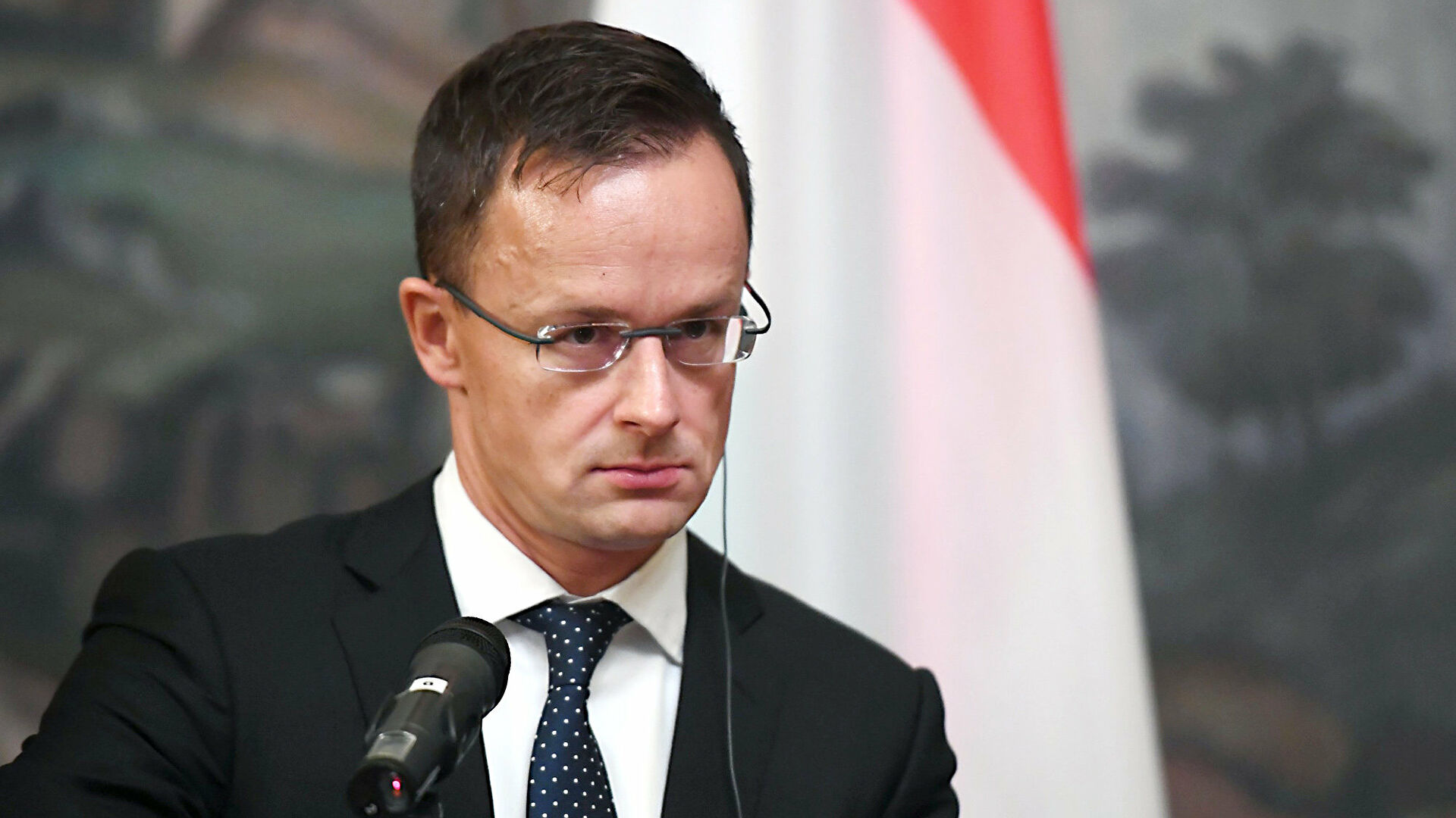 Украина и Венгрия создадут рабочую группу по закону об образовании