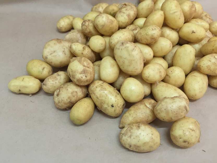 Диетолог рассказала об опасности употребления картофеля на ночь