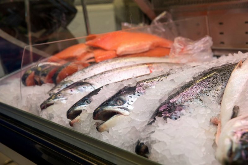 Ученые назвали вредную для здоровья рыбу