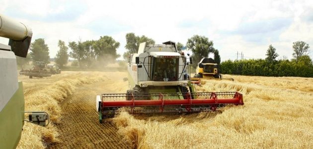 Урожай зерна в Украине оказался самым низким за последние три года – Минэкономики