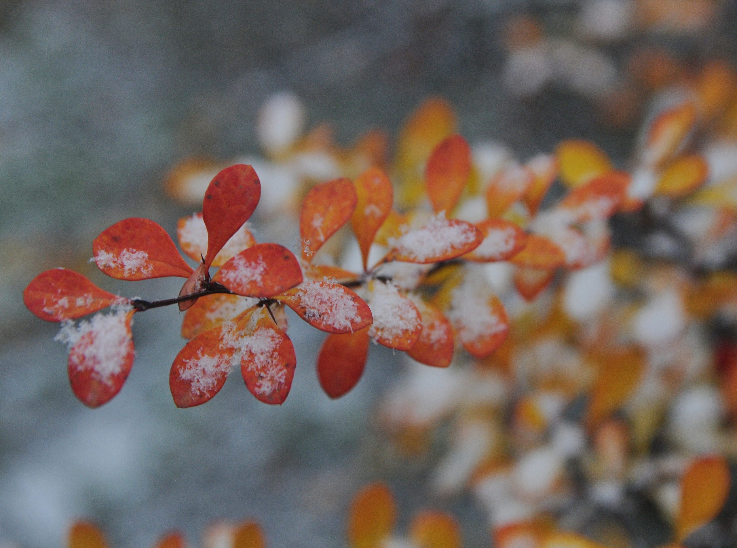 В Киеве открылась Резиденция Святого Николая