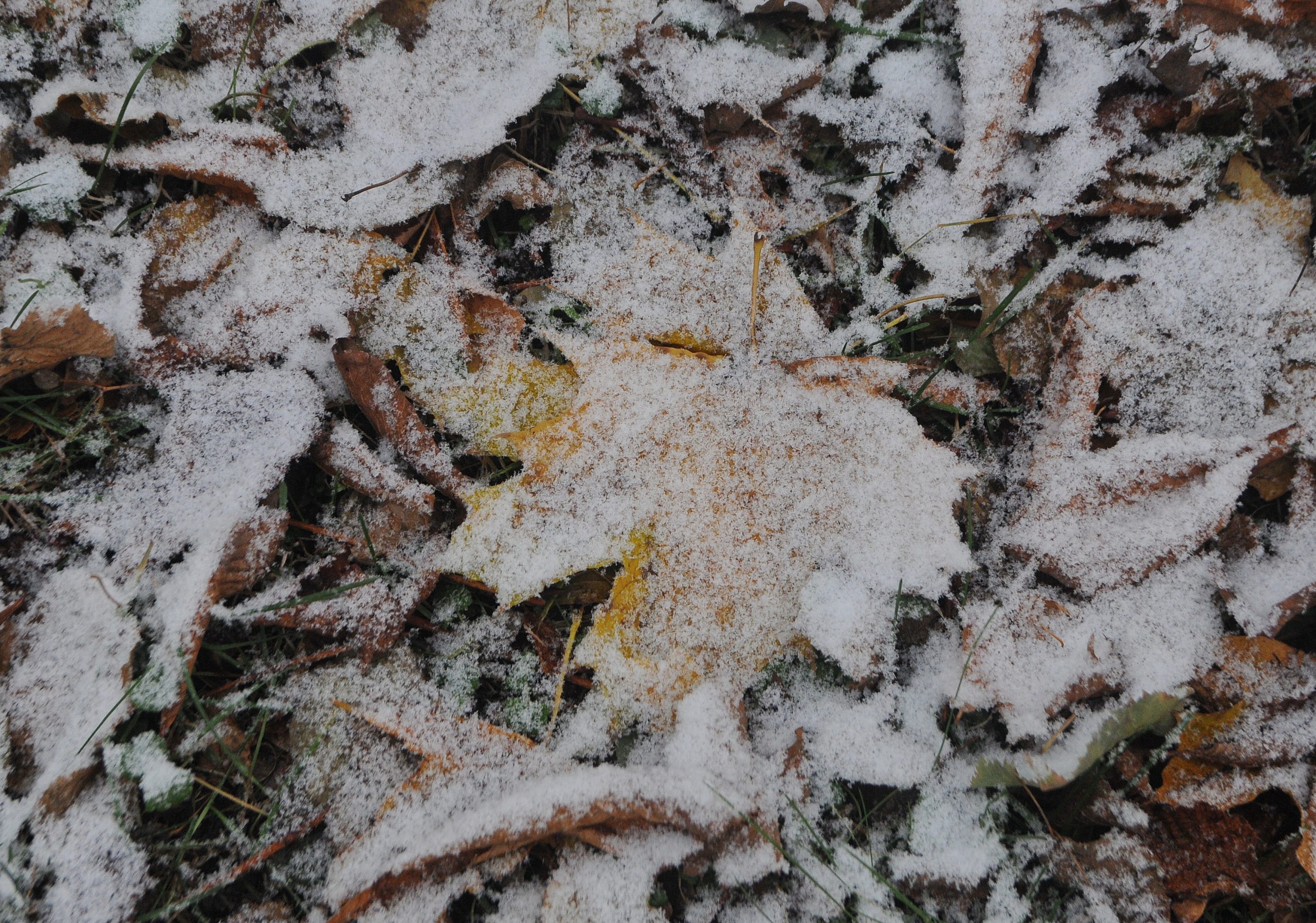 В Киеве открылась Резиденция Святого Николая