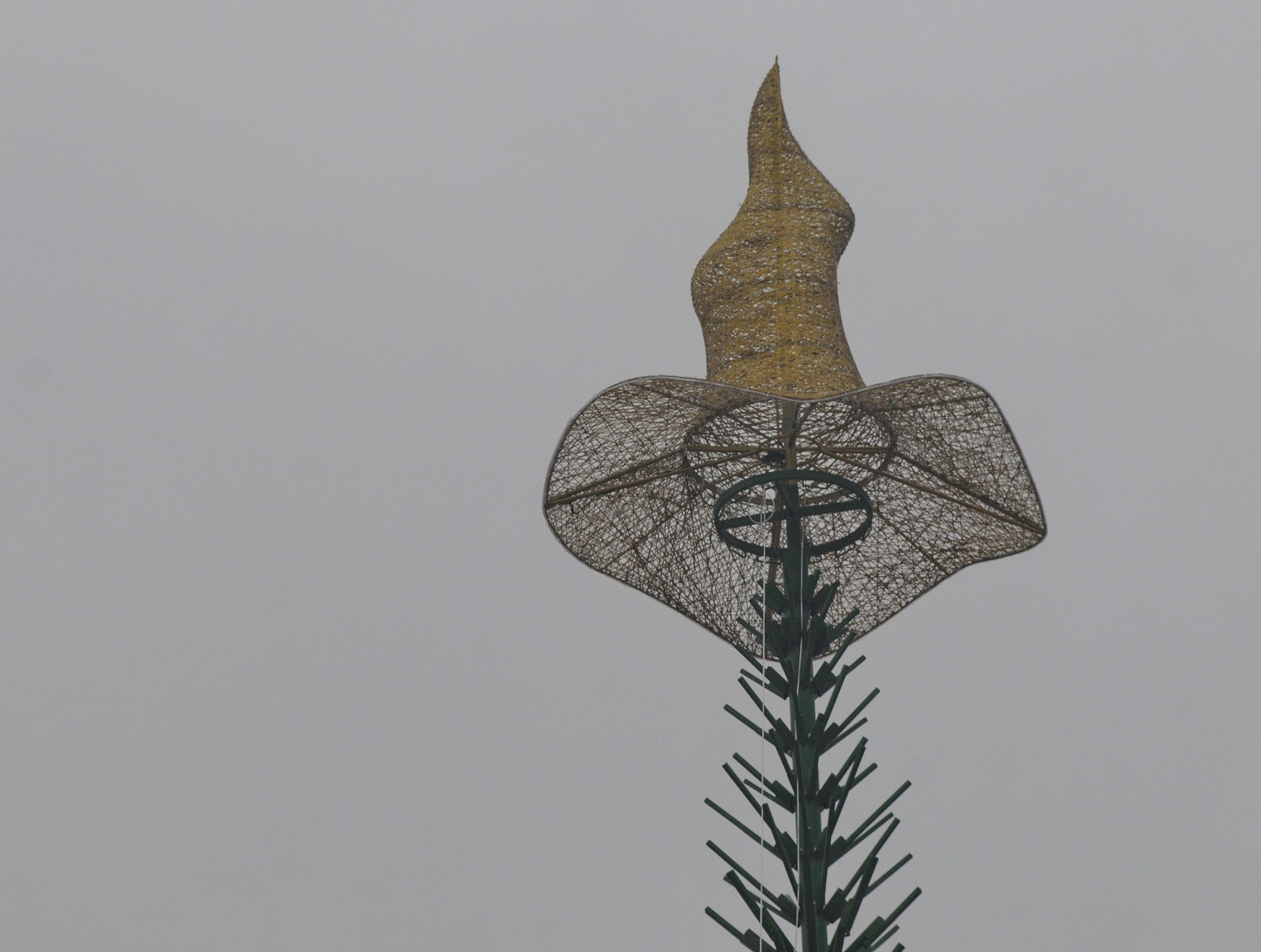 Главная елка страны в этом году будет в шляпе: на Софийской площади начали собирать каркас