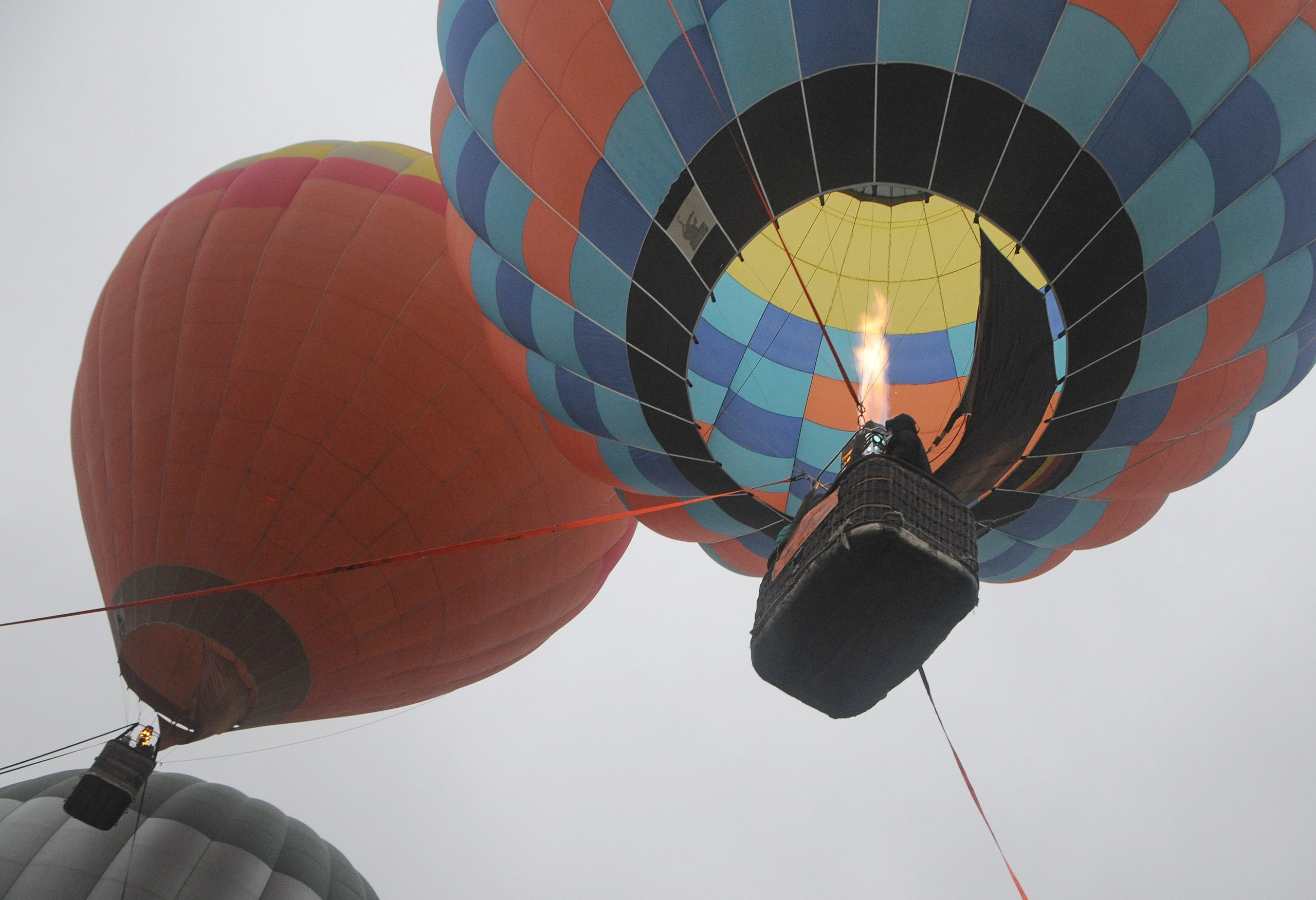 В Киеве на ВДНГ состоялся фестиваль огромных воздушных шаров