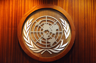 В ООН прокомментировали идею о введении миротворцев на Донбасс