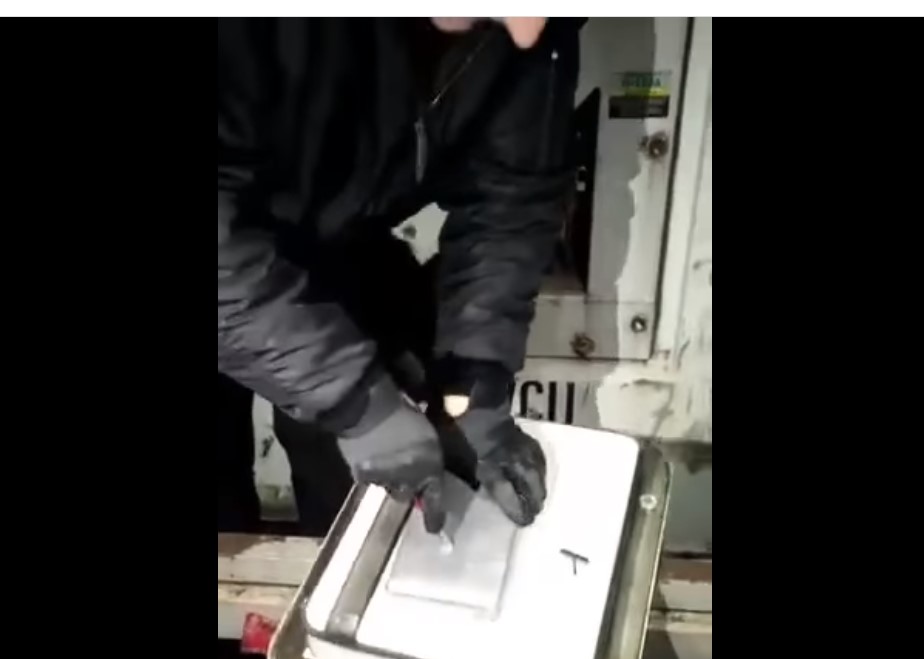 В Одессе в контейнере нашли более 50 килограммов кокаина