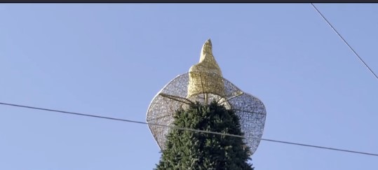 На Софийской площади в Киеве собрали главную елку страны