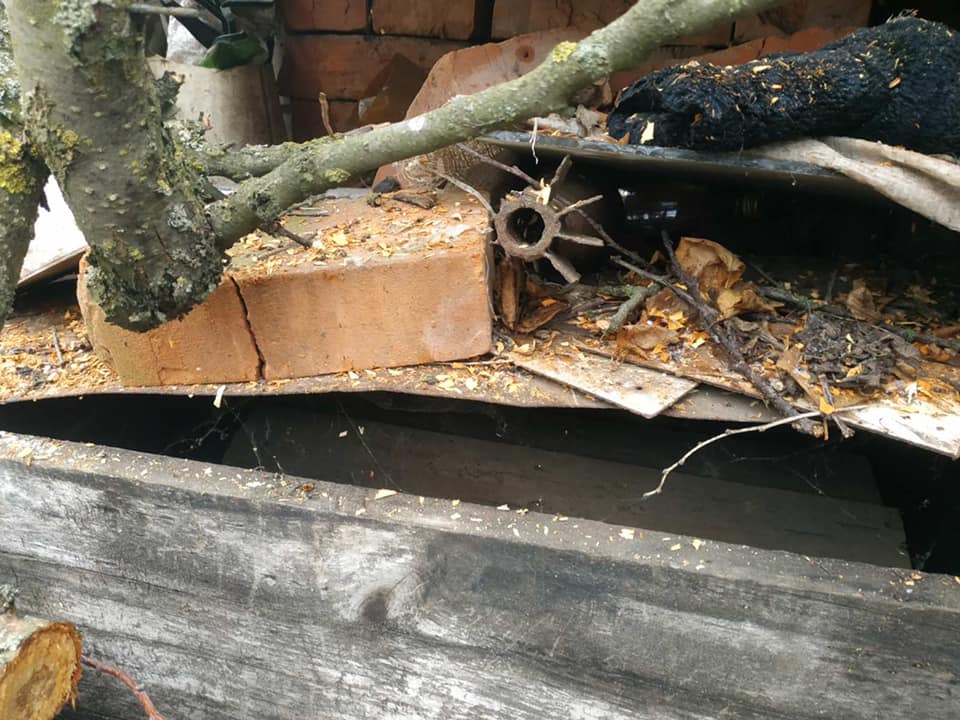 В Харьковской области женщина нашла под дровами ящик с боеприпасами
