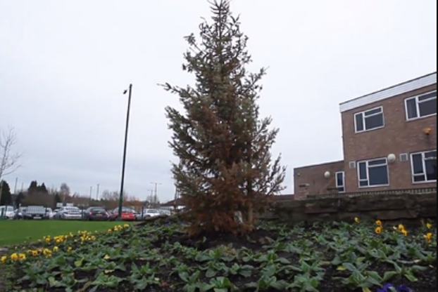 «Дерево выглядит нездоровым»: британцы раскритиковали «зараженную коронавирусом» ёлку 