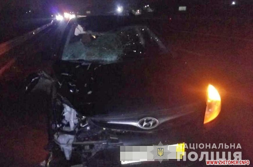 Смертельное ДТП в Житомирской области: Hyundai сбил мужчину