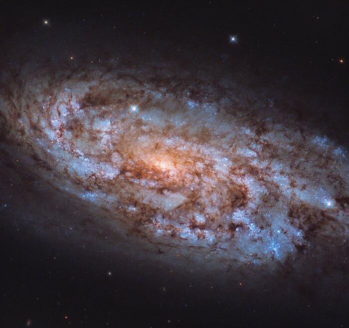 Хаббл сфотографировал уникальную галактику, где зарождается много звезд
