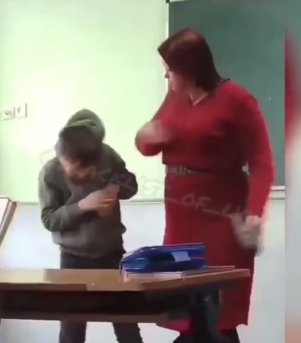 В сельской школе на Львовщине учительница била ученика: делом занялась полиция