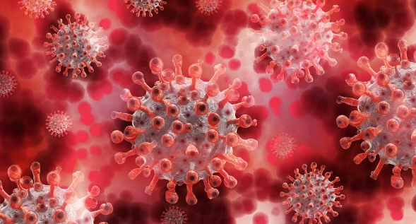 Ученые выяснили, почему мужчины чаще умирают от коронавируса, чем женщины