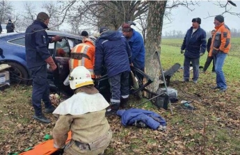 Под Днепром водитель Audi влетел в дерево