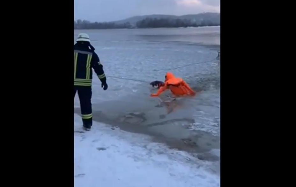 Киевские спасатели вытащили провалившуюся под лед собаку