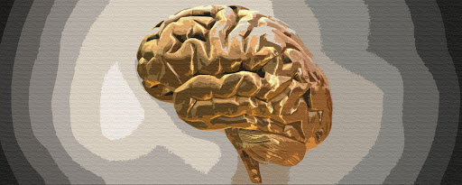 Ученые выяснили, как работает ум