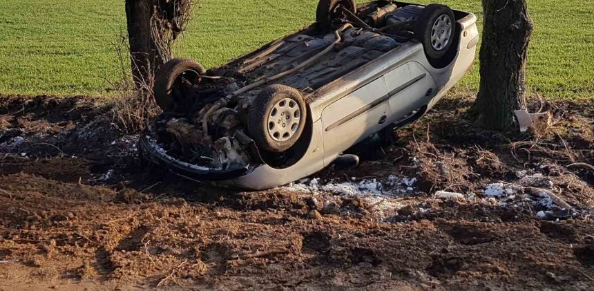 В Николаевской области перевернулся Peugeot