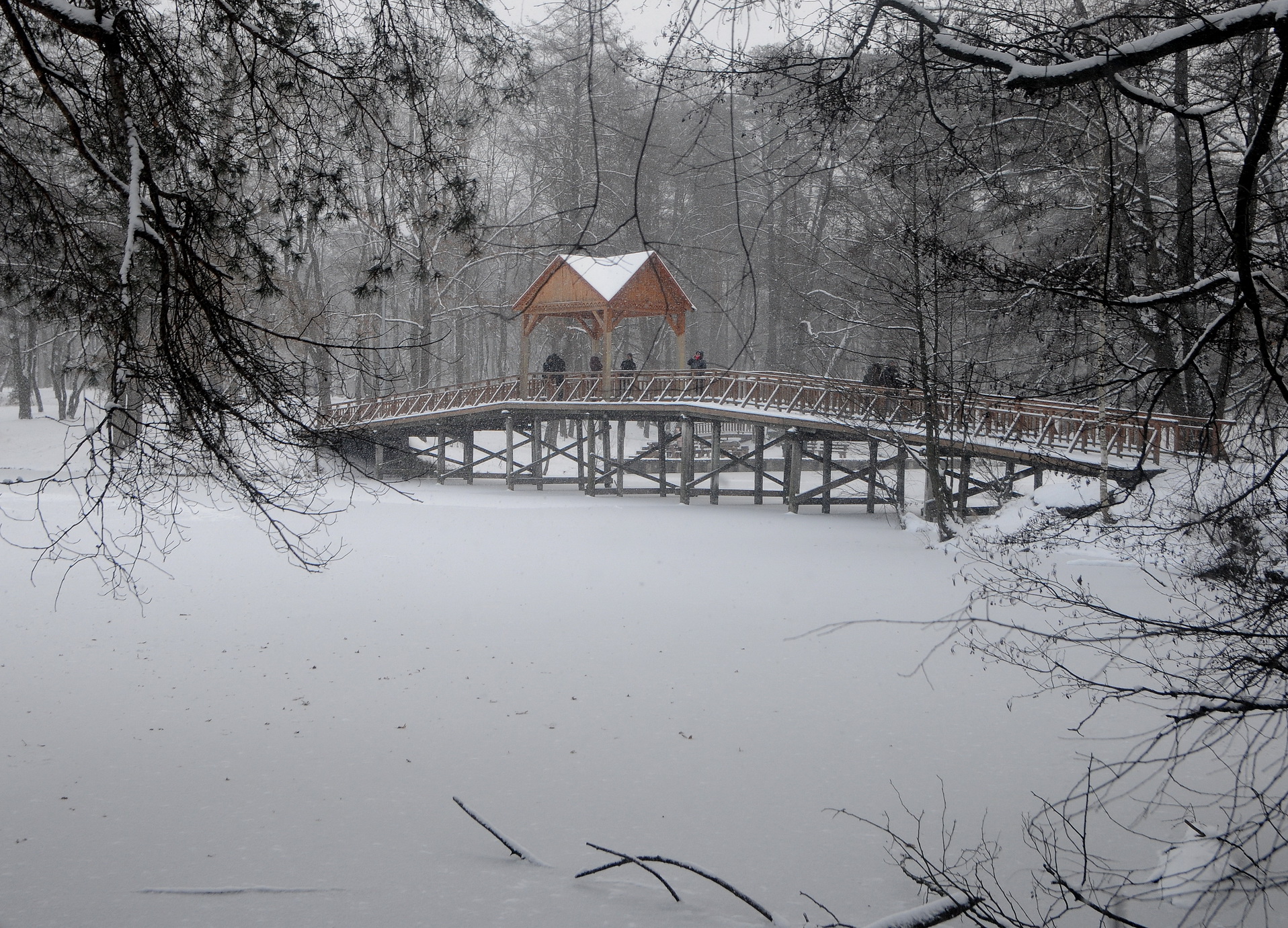 Зима в Пуще-Водице