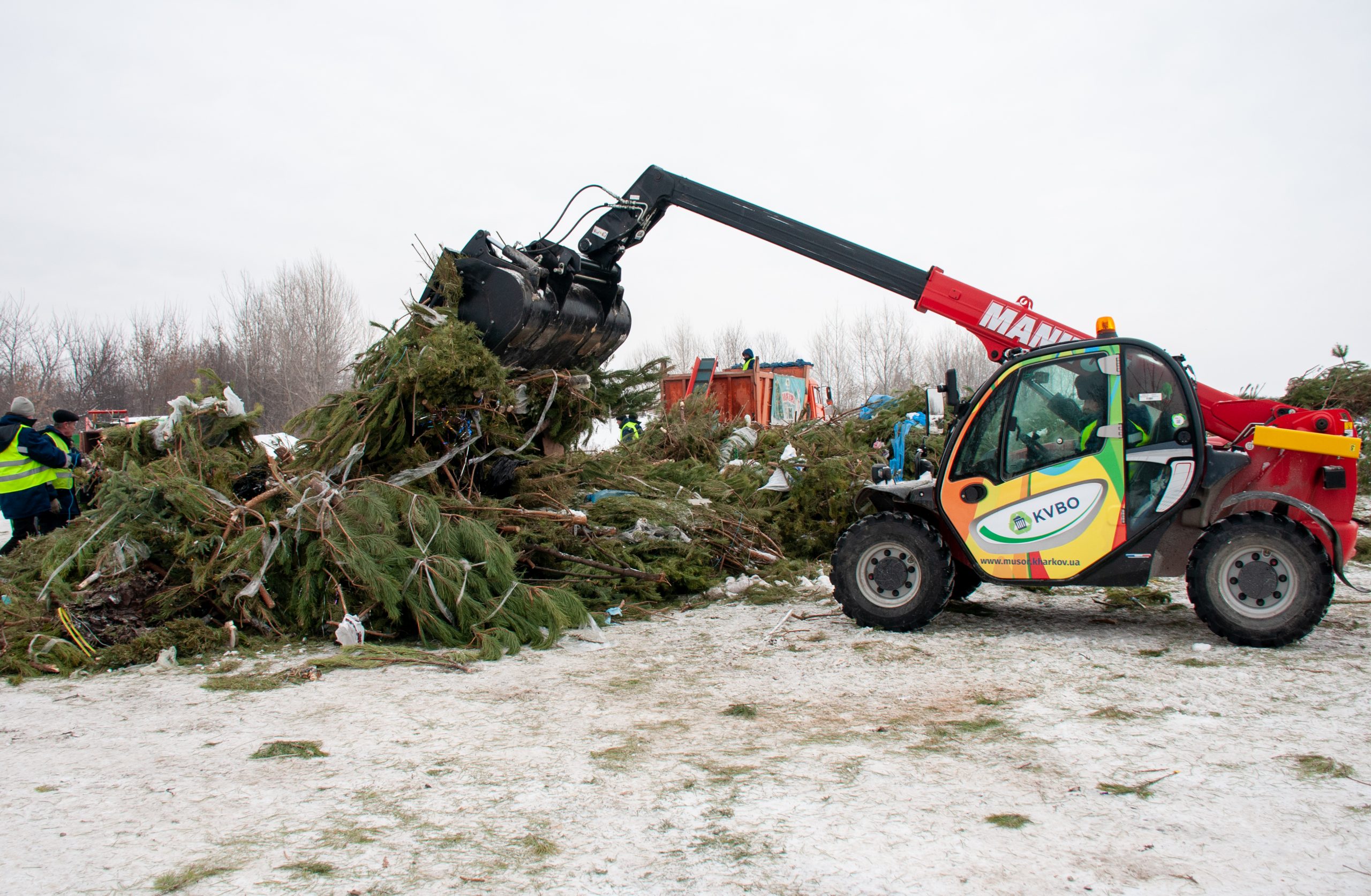 В Харькове начали утилизировать новогодние елки