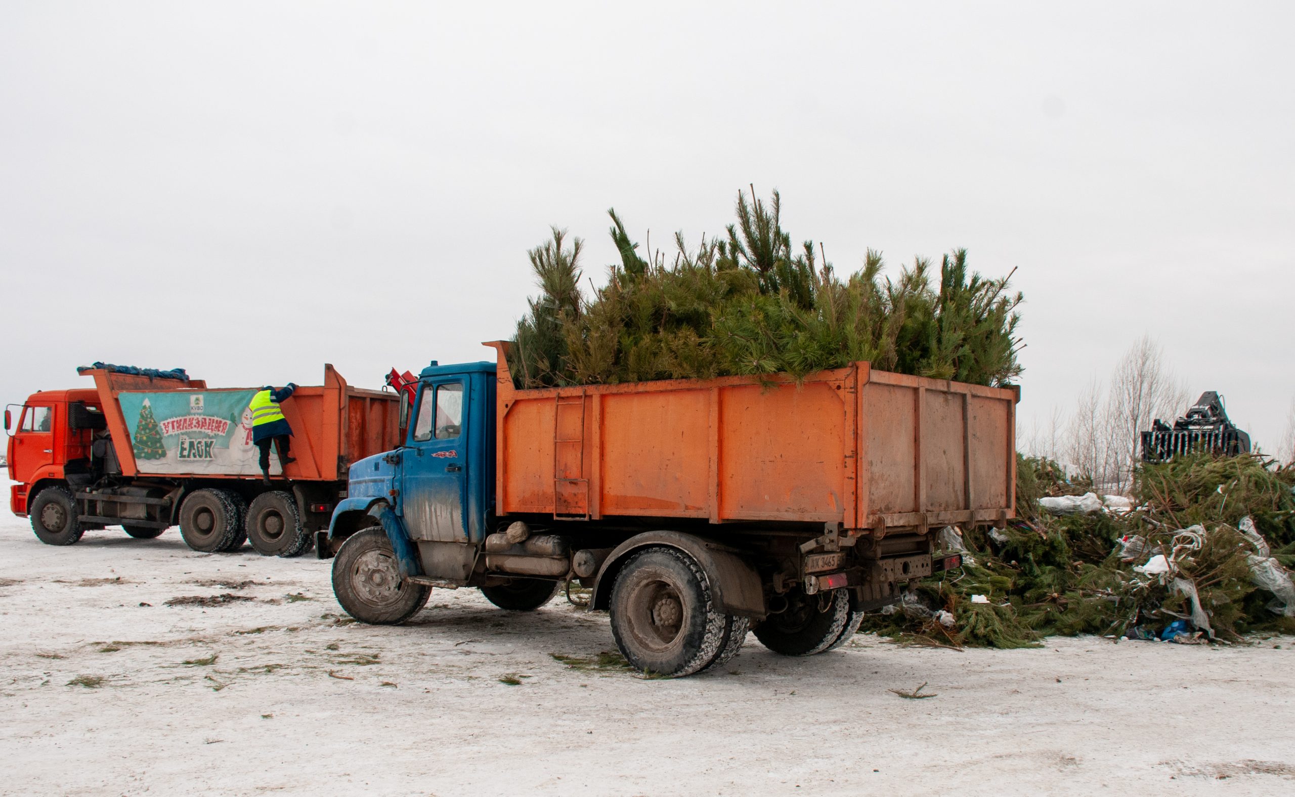 В Харькове начали утилизировать новогодние елки