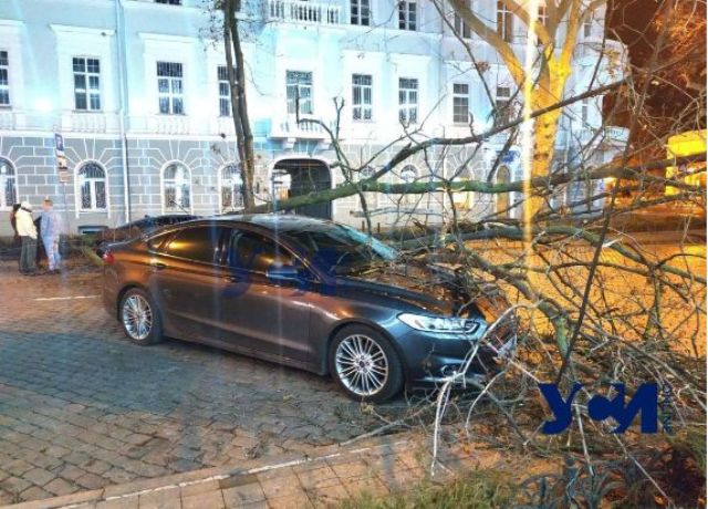 В центре Одессы у прокуратуры дерево разбило три автомобиля