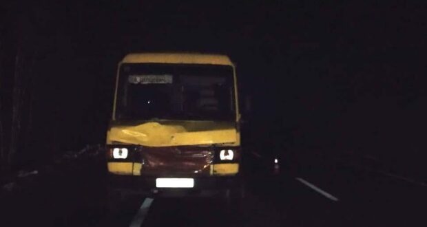 Водитель маршрутки сбил двух пешеходов под Ровно