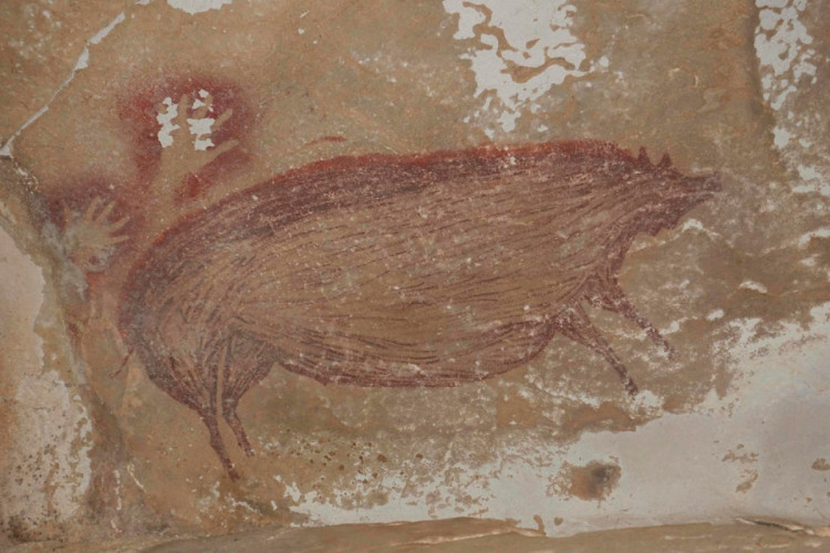 Рисунку 45 тысяч лет: археологи показали древнюю свинью