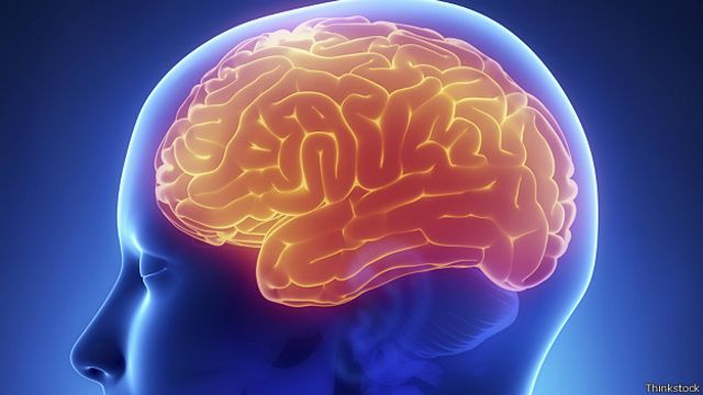Как защитить мозг от возрастных изменений: ответ ученых