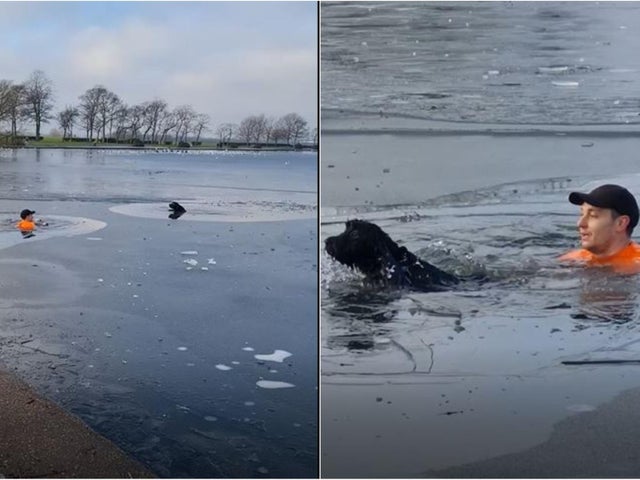 Мужчина прыгнул в заледеневшее озеро ради спасения пса