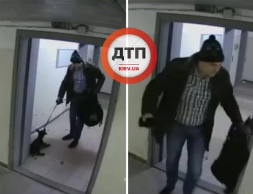 В Киеве мужчина избил собаку и выбросил на мороз