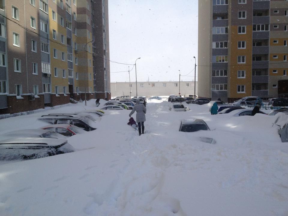Погода на 25 января: на западе Украины – снегопады