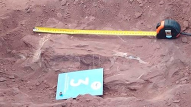 Ученые обнаружили в Аргентине останки тиранозавра