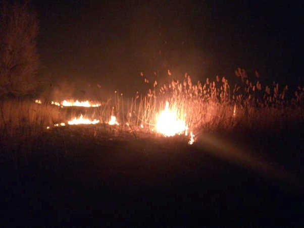 На Николаевщине ликвидировали крупный пожар камыша