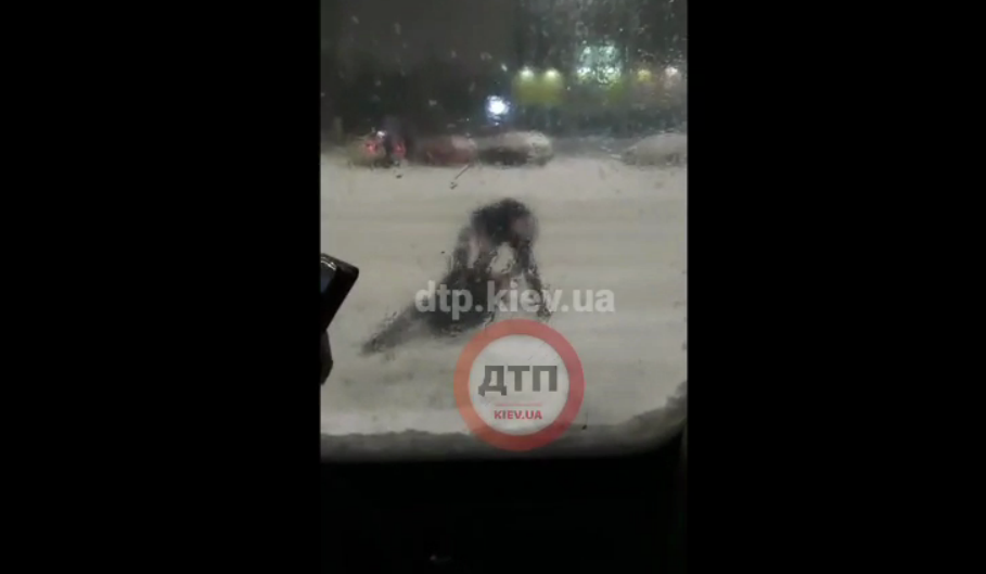 В Киеве водитель маршрутки устроил кулачный бой с пассажиров