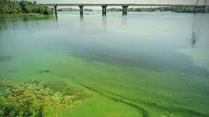 Эколог рассказал, в каком состоянии сейчас находится река Днепр