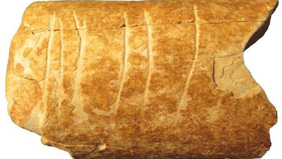 В Израиле обнаружили артефакт возрастом 120 тысяч лет