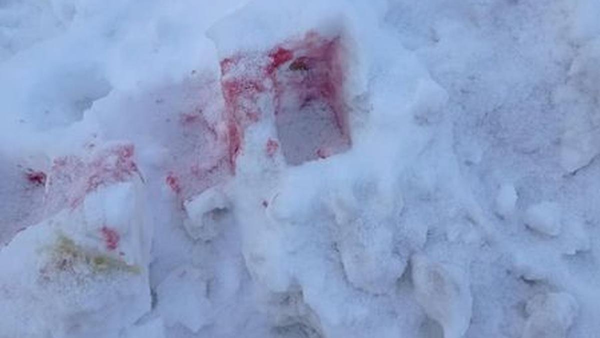 Киевляне заметили на снегу розовую отраву