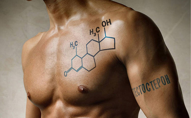 Ученые нашли способ поднять тестостерон у мужчин