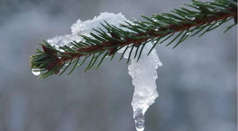 Погода на 23 февраля: в Украине будут слабые морозы