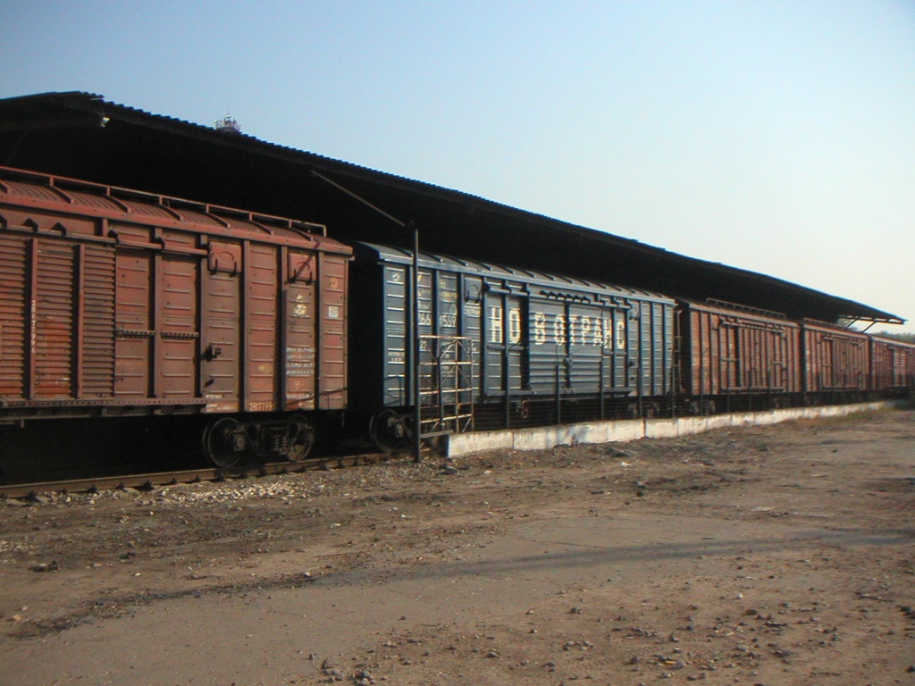 В Забайкалье более двадцати вагонов сошли с рельсов
