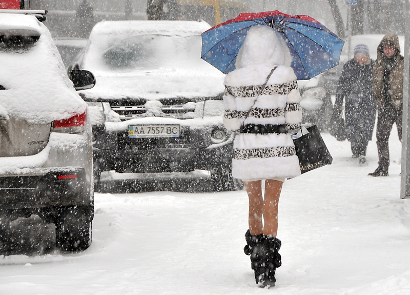 Ситуация не форс-мажорная: эксперт о снегопаде в Киеве