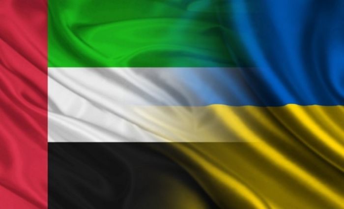 Эксперт назвал приоритетные сферы сотрудничества Украины и аравийских монархий